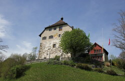 Das Schloss Oberberg in Gossau konnte nach 200 Jahren zwei alte Möbelstücke zurück erwerben. Bild: Selim Jung